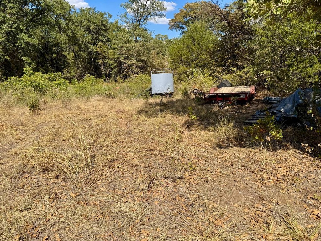 Picture 4