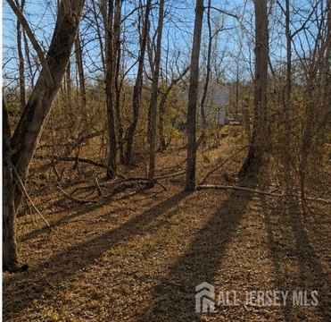 LAND - Aberdeen, NJ