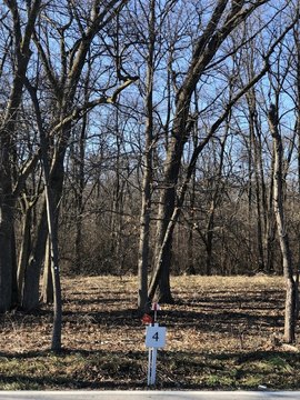 LAND - Homer Glen, IL