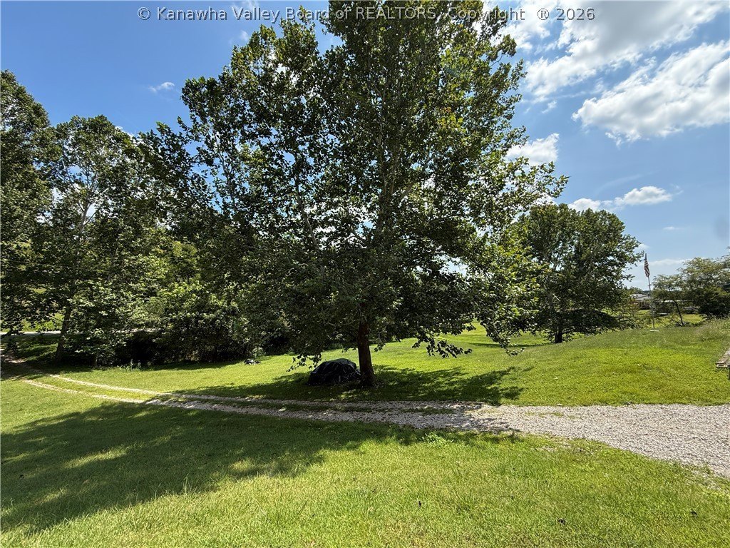 Picture 8