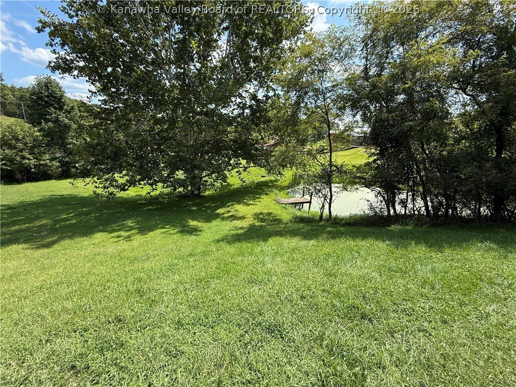 Picture 13