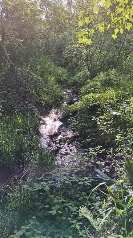 Picture 11