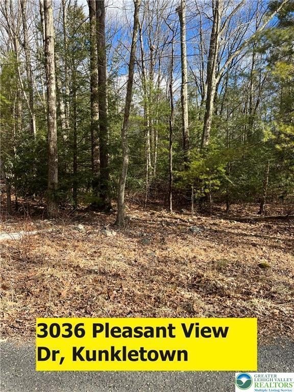 Land in Kunkletown Near Amenities