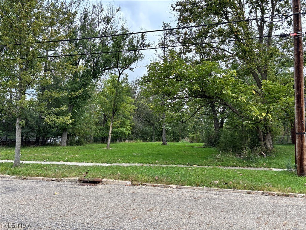 Picture 3