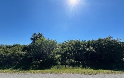 Spacious Lot Near South Venice Beach