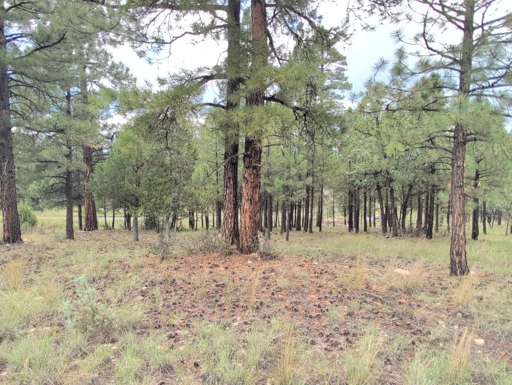 Picture 16