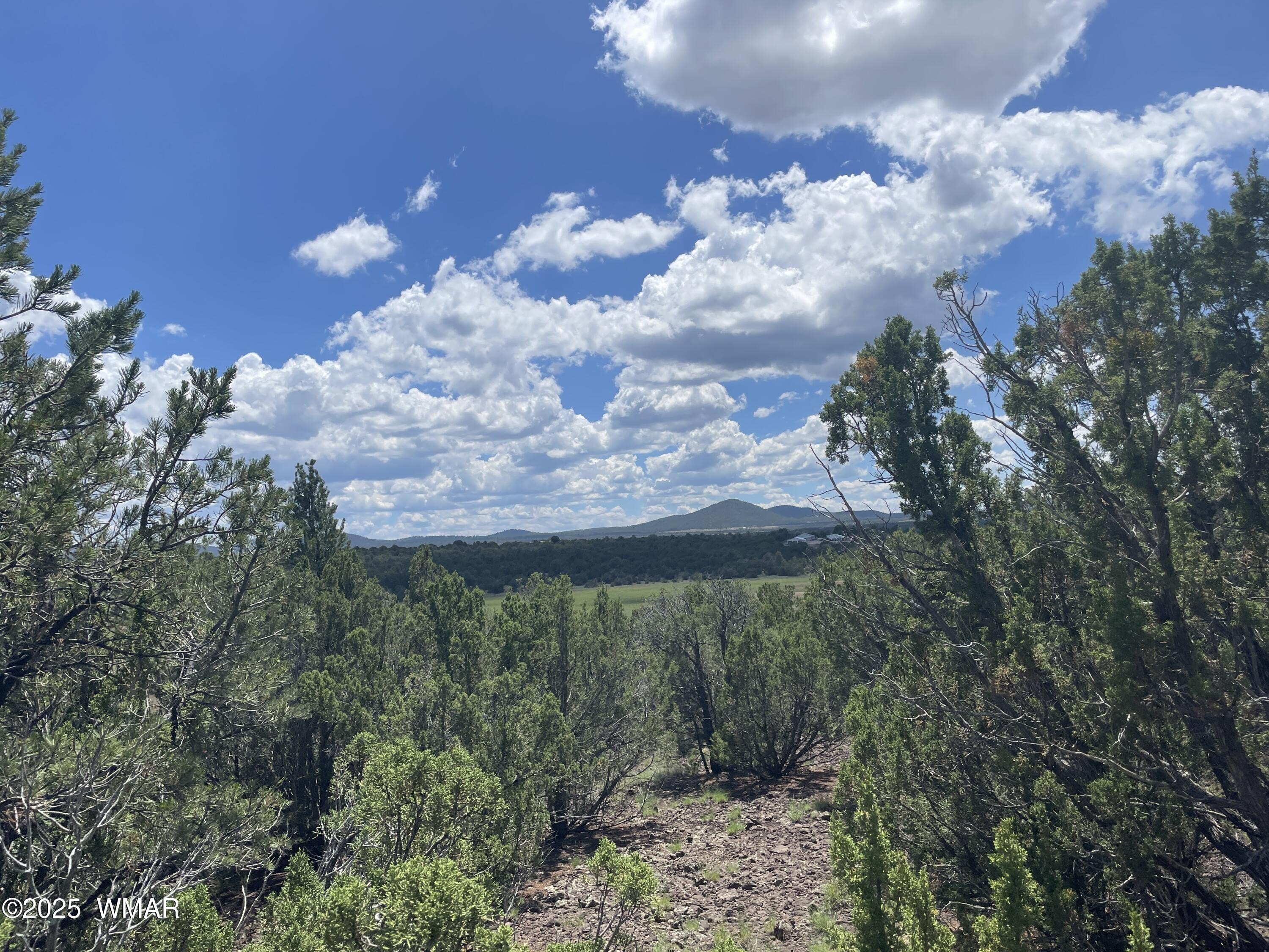 Vernon, AZ Land Available