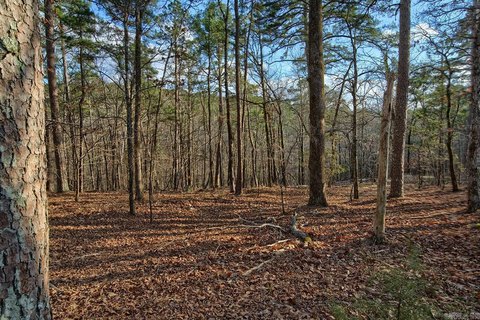 Residential Lot in Hot Springs