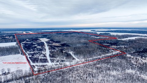 Hunting Land with Multiple Stands