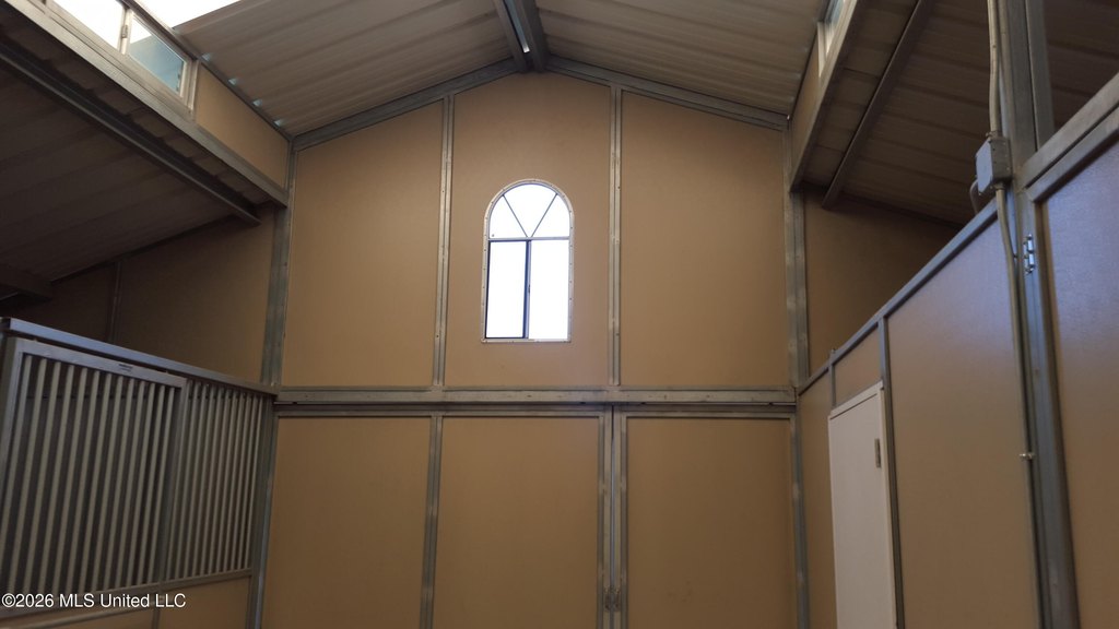 Picture 19