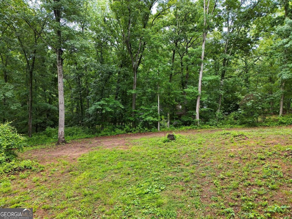 Picture 4