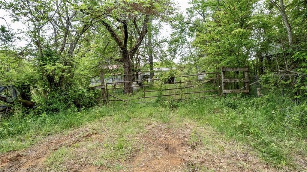 40 Acres Buildable Land