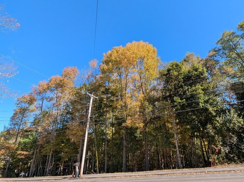 Belfast Land Parcel For Sale