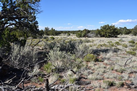 Land, Williams, AZ