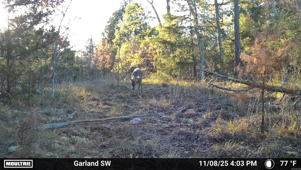 Picture 6