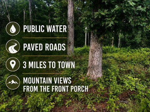 LAND - Ellijay, GA