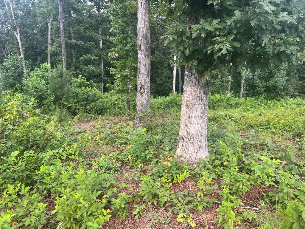 Picture 3