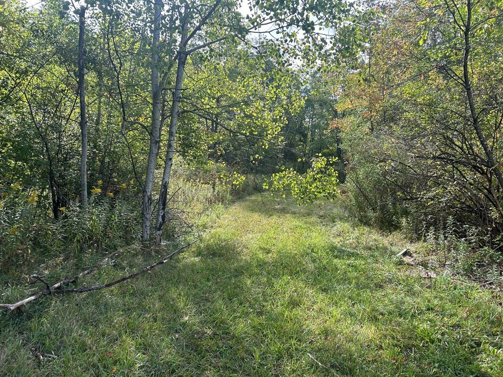 Picture 12
