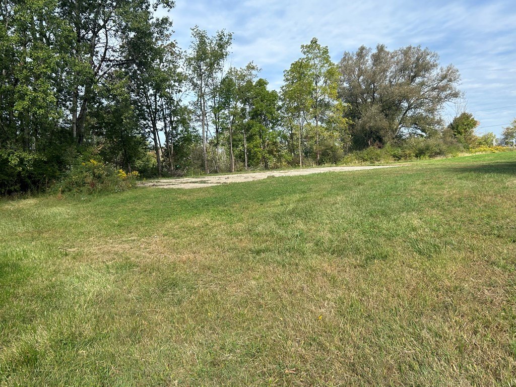 Picture 14