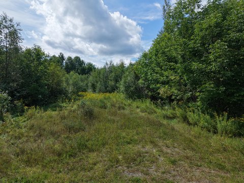 Land, Weston, ME