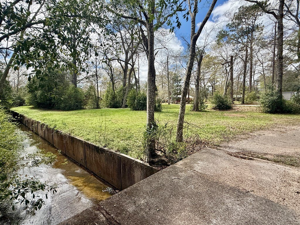 Picture 14