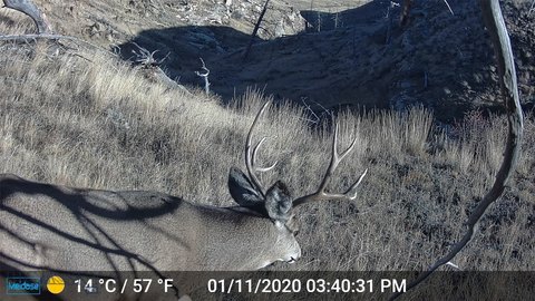 Montana Land with Reservoir Views