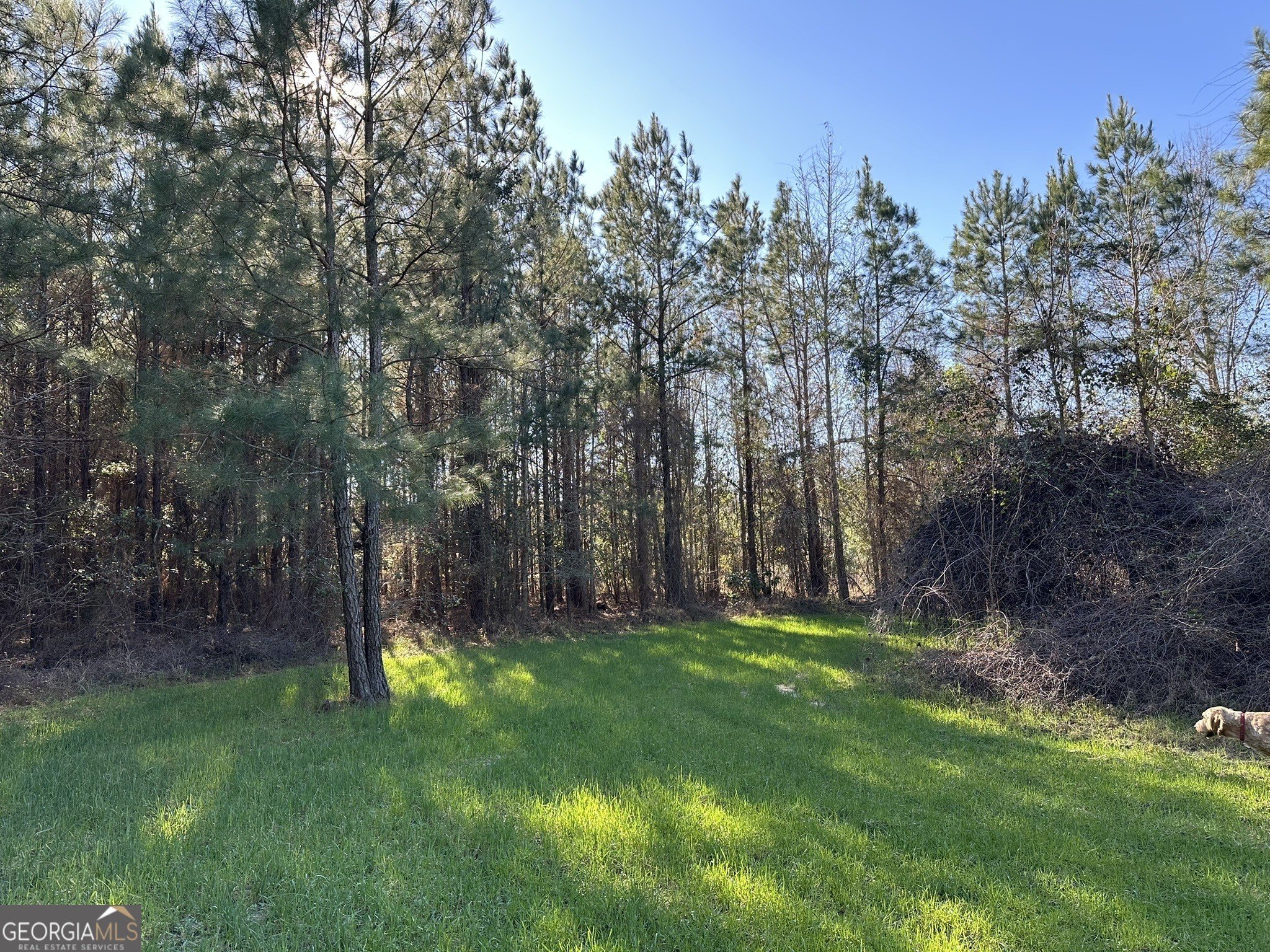 26 Acres Hunting Land Homesite