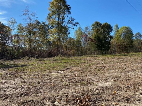Lots and Land, Munfordville, KY
