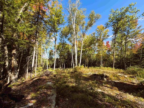 Land, Littleton, NH