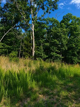 LAND - Bella Vista, AR