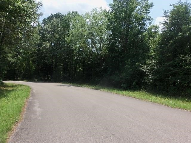 Picture 6