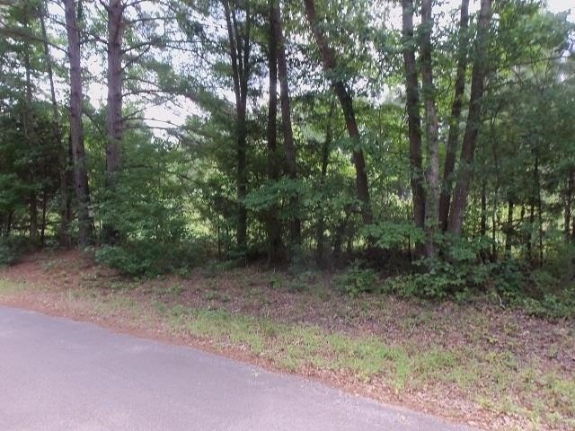 Picture 2