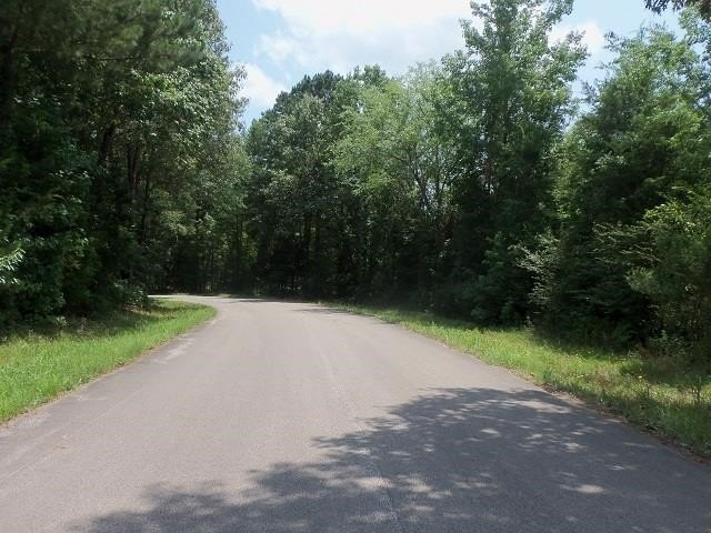 Picture 5
