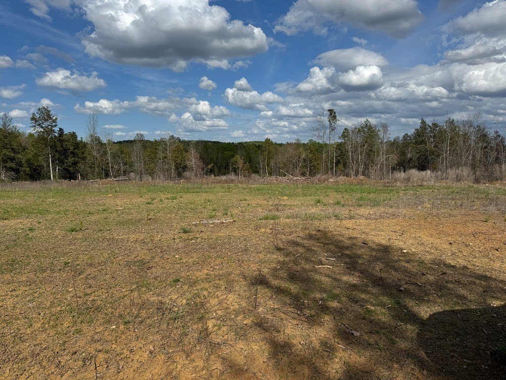 Picture 4