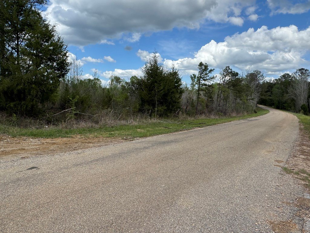 Picture 21