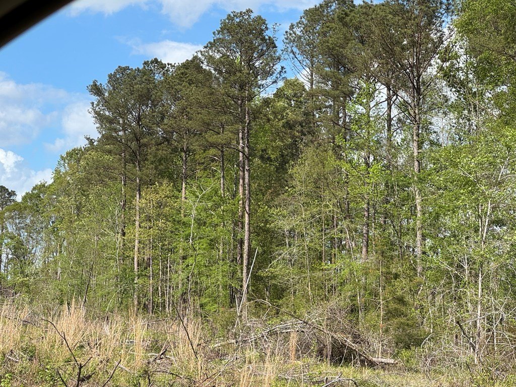 Picture 30