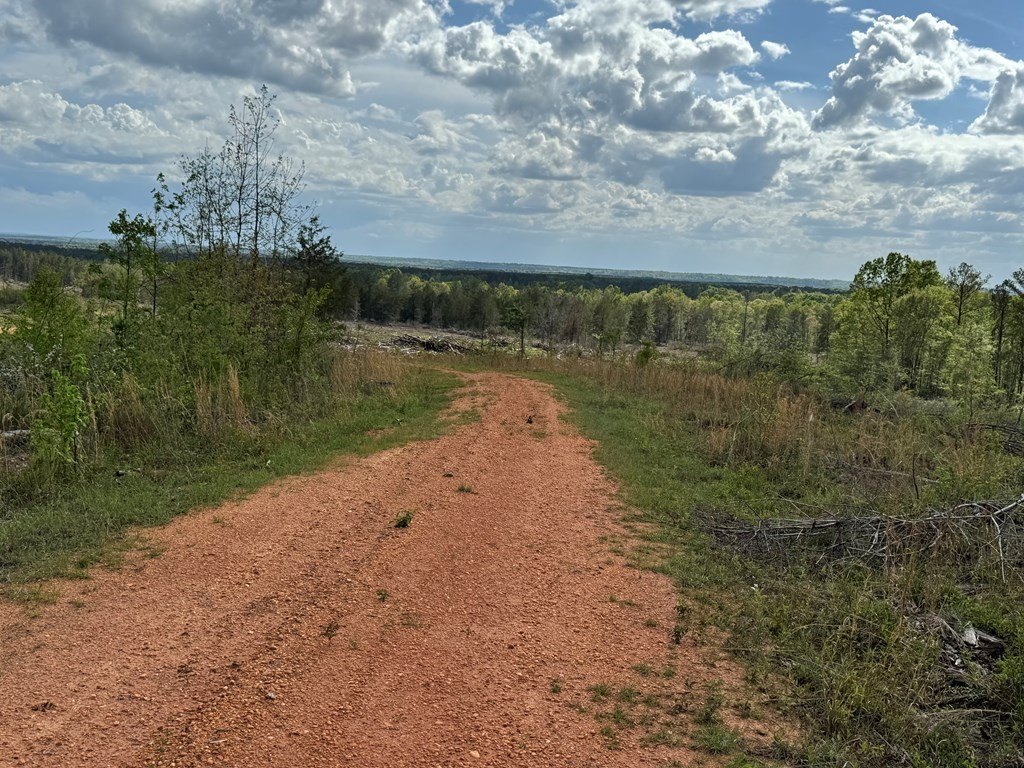 Picture 18