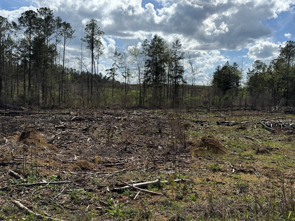 Picture 33