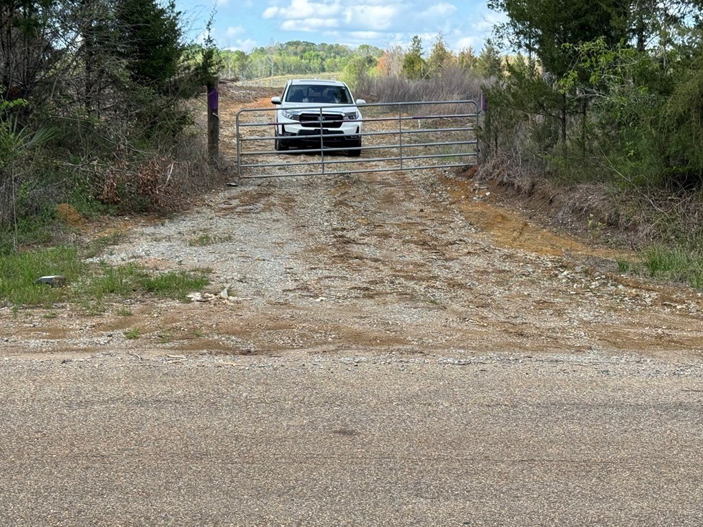 Picture 24