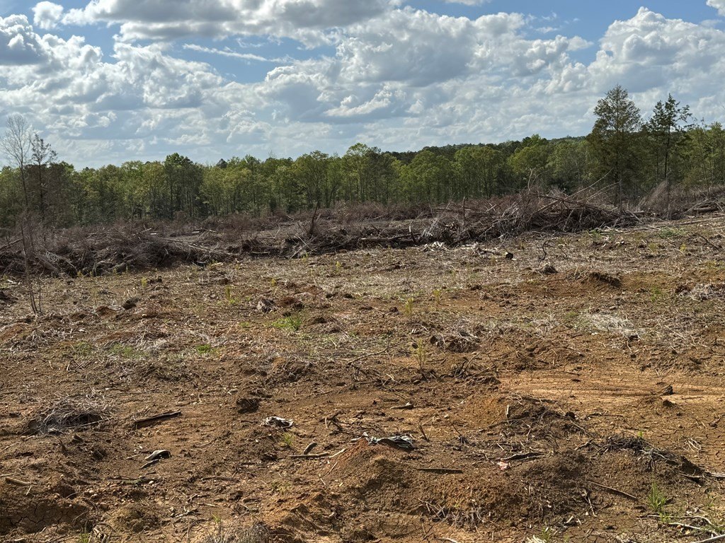 Picture 25