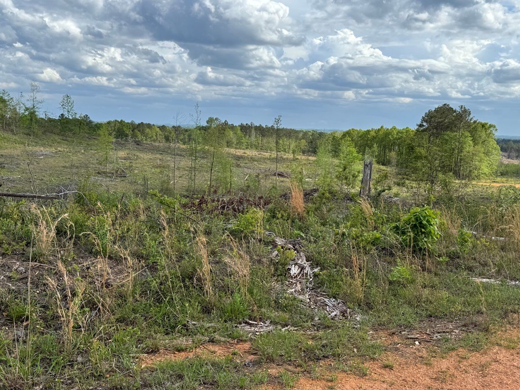 Picture 17