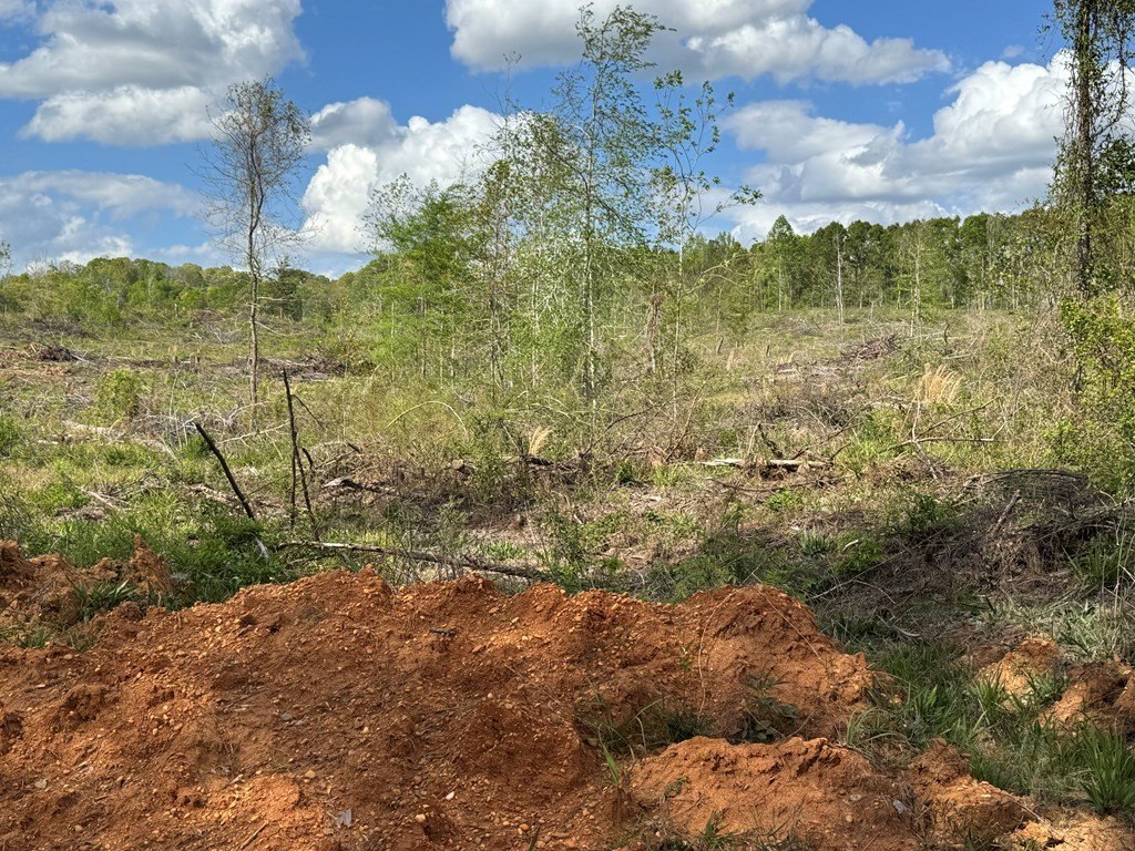 Picture 27