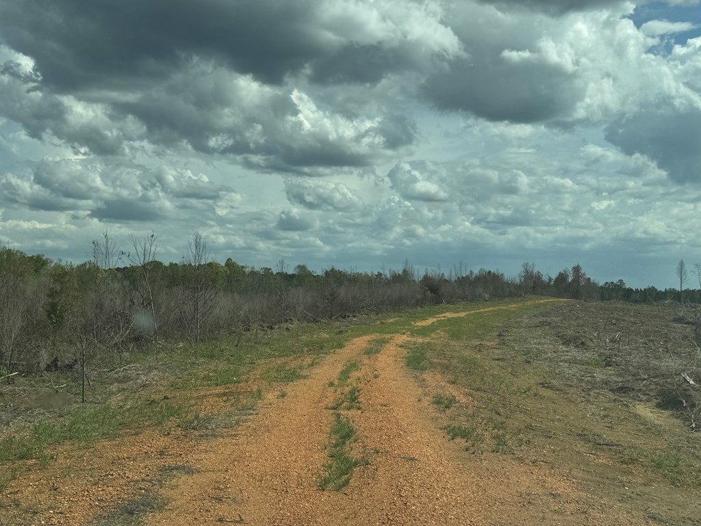 Picture 22
