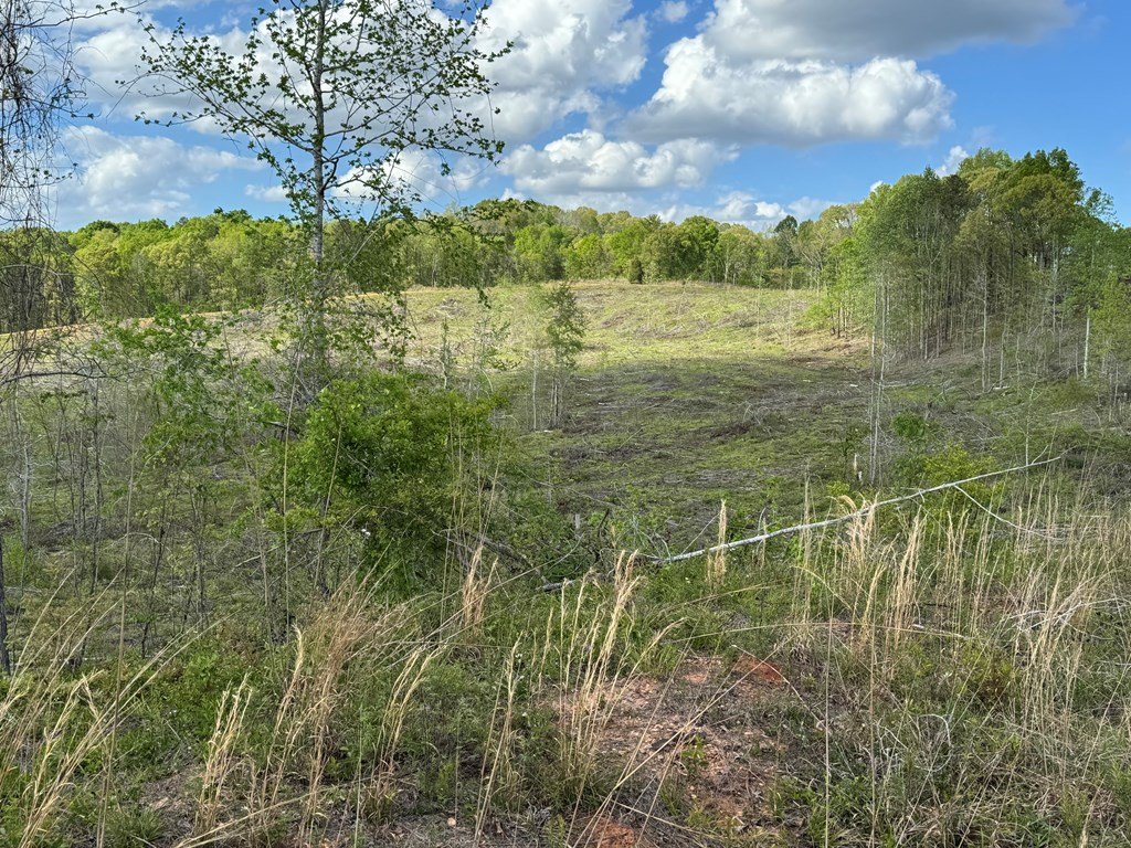 Picture 16