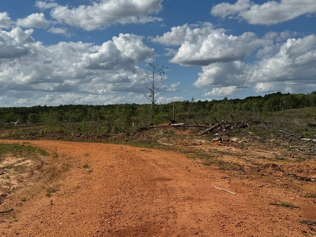Picture 29