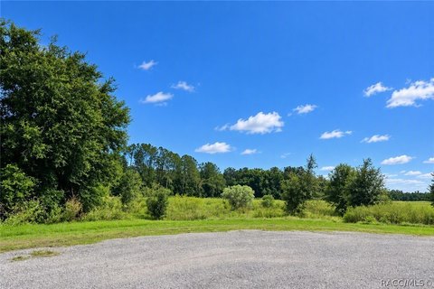 Land, Dade City, FL