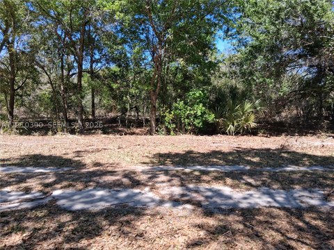 LAND - Avon Park, FL