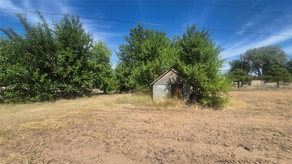 Picture 19