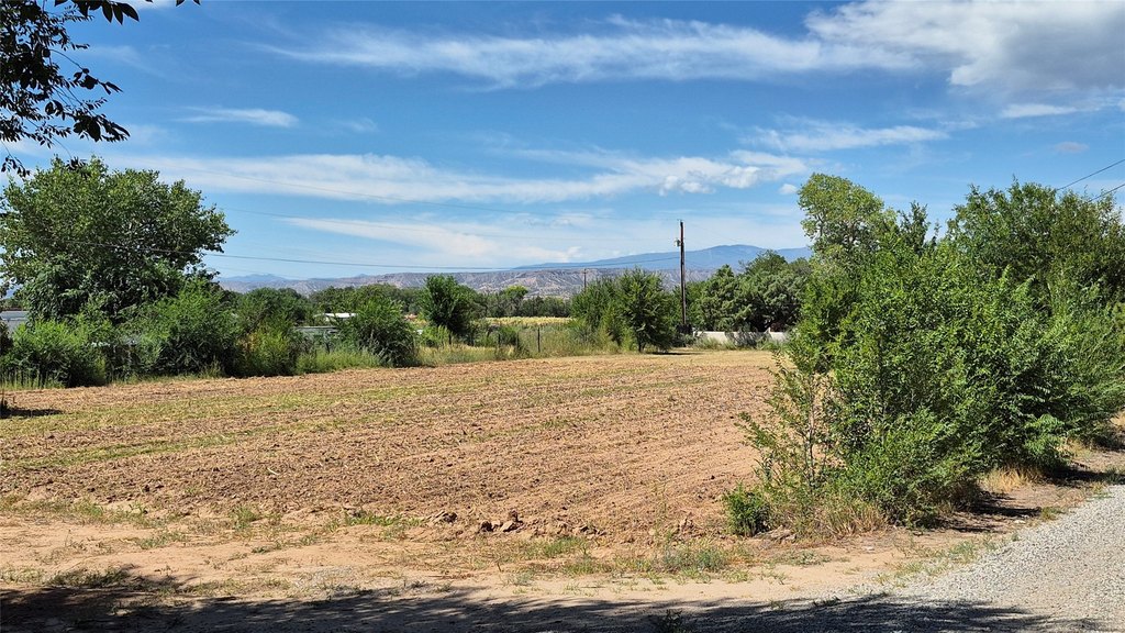 Picture 25
