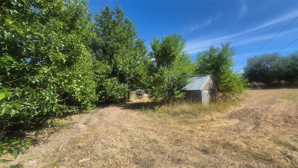 Picture 20
